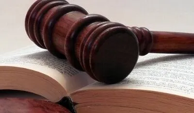 El Derecho Penal y la persecución de los delitos