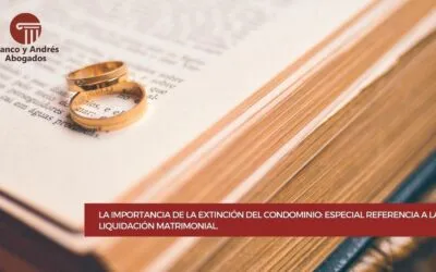 La importancia de la extinción del condominio: Especial referencia a la liquidación matrimonial.